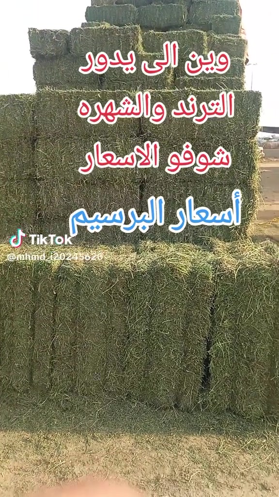 @mohamed_ksa0