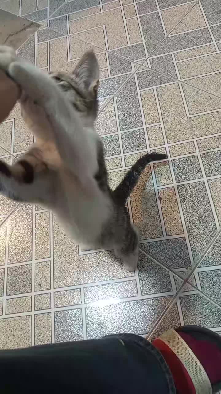 @Gadirova97 🐾