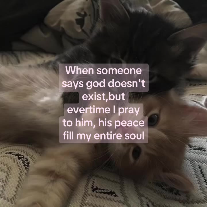 @deep.meow