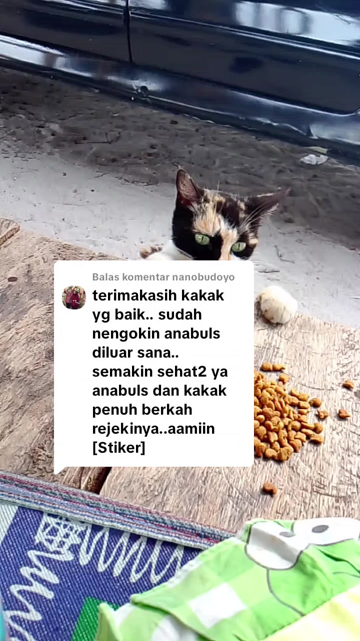 @🇮🇩Adek Gely😽❤️