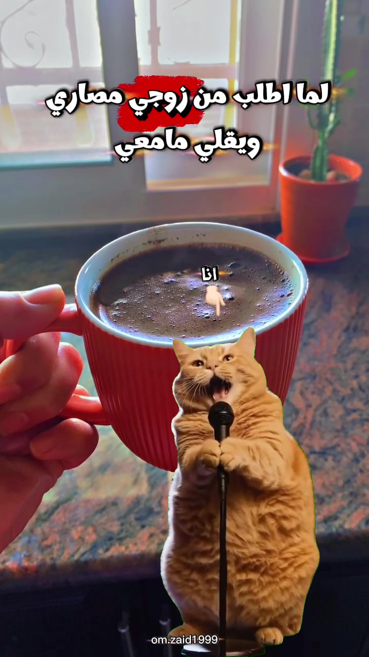 @AsoOl🫶🏻