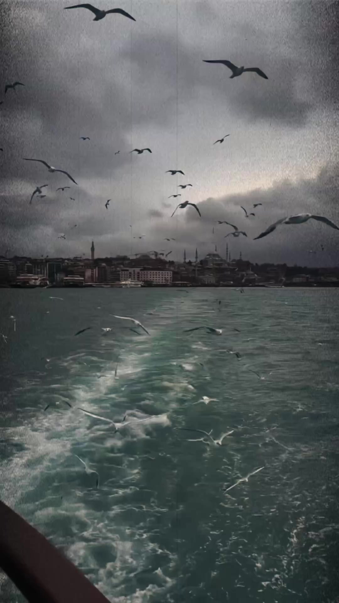 @MehtapTek🇹🇷