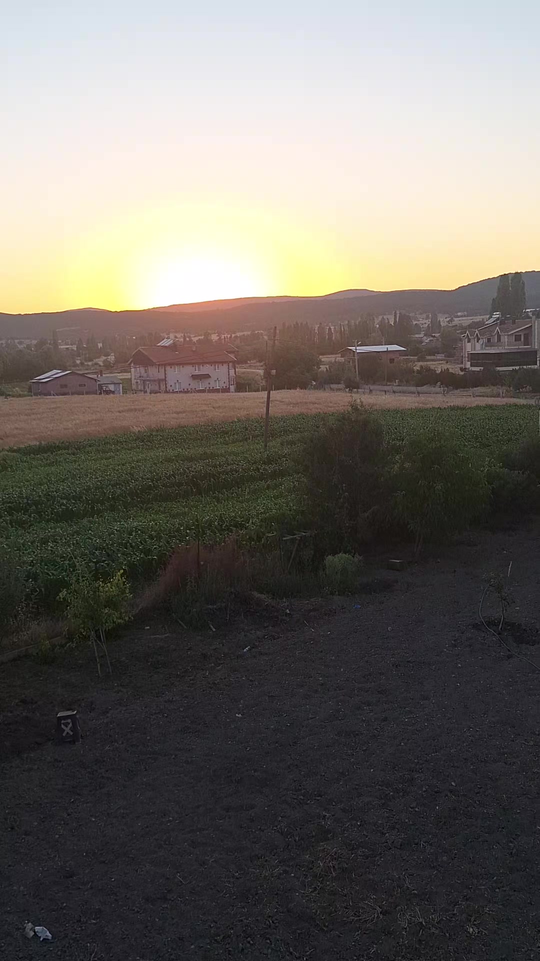 @03 Yanlız 🐺KURT 🤘🤘 🇹🇷🇹?