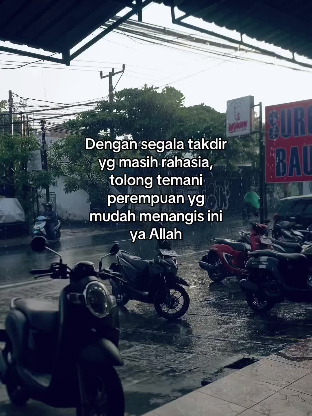 @Pipi