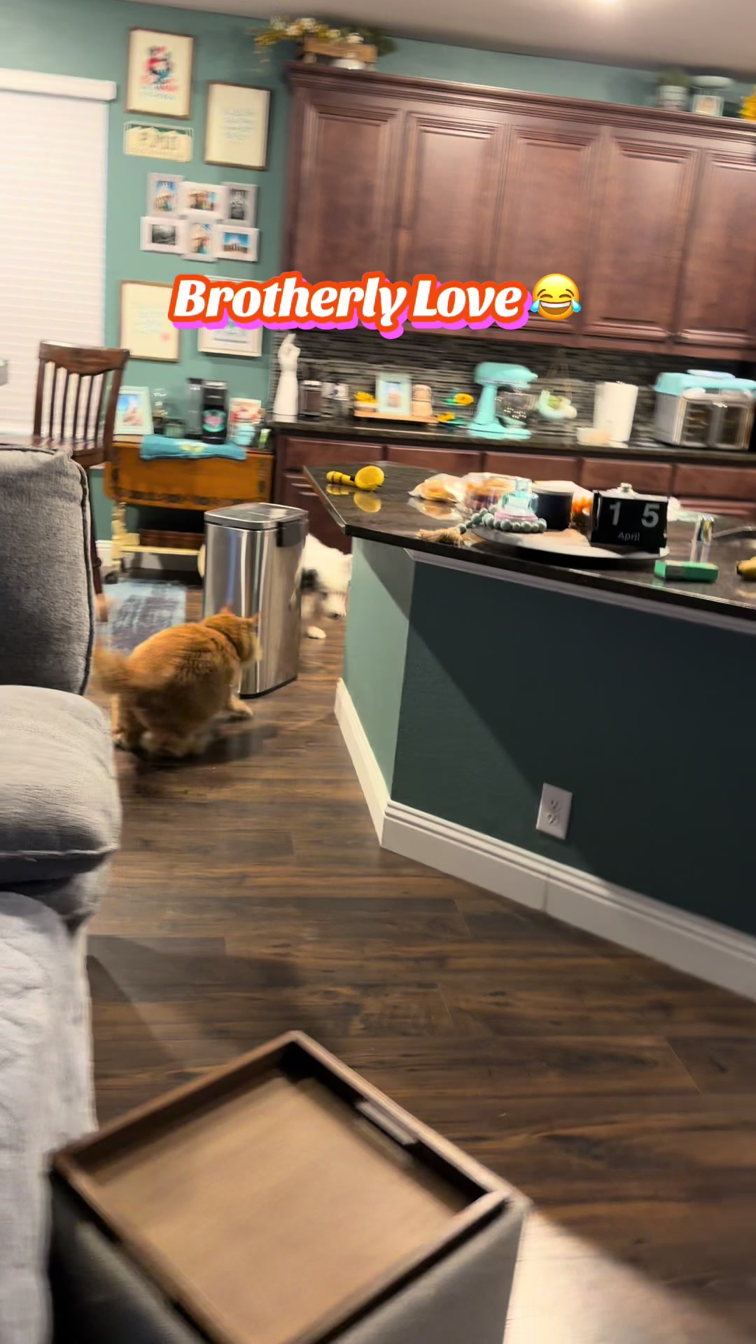 @Theodore Scritches McWiggles