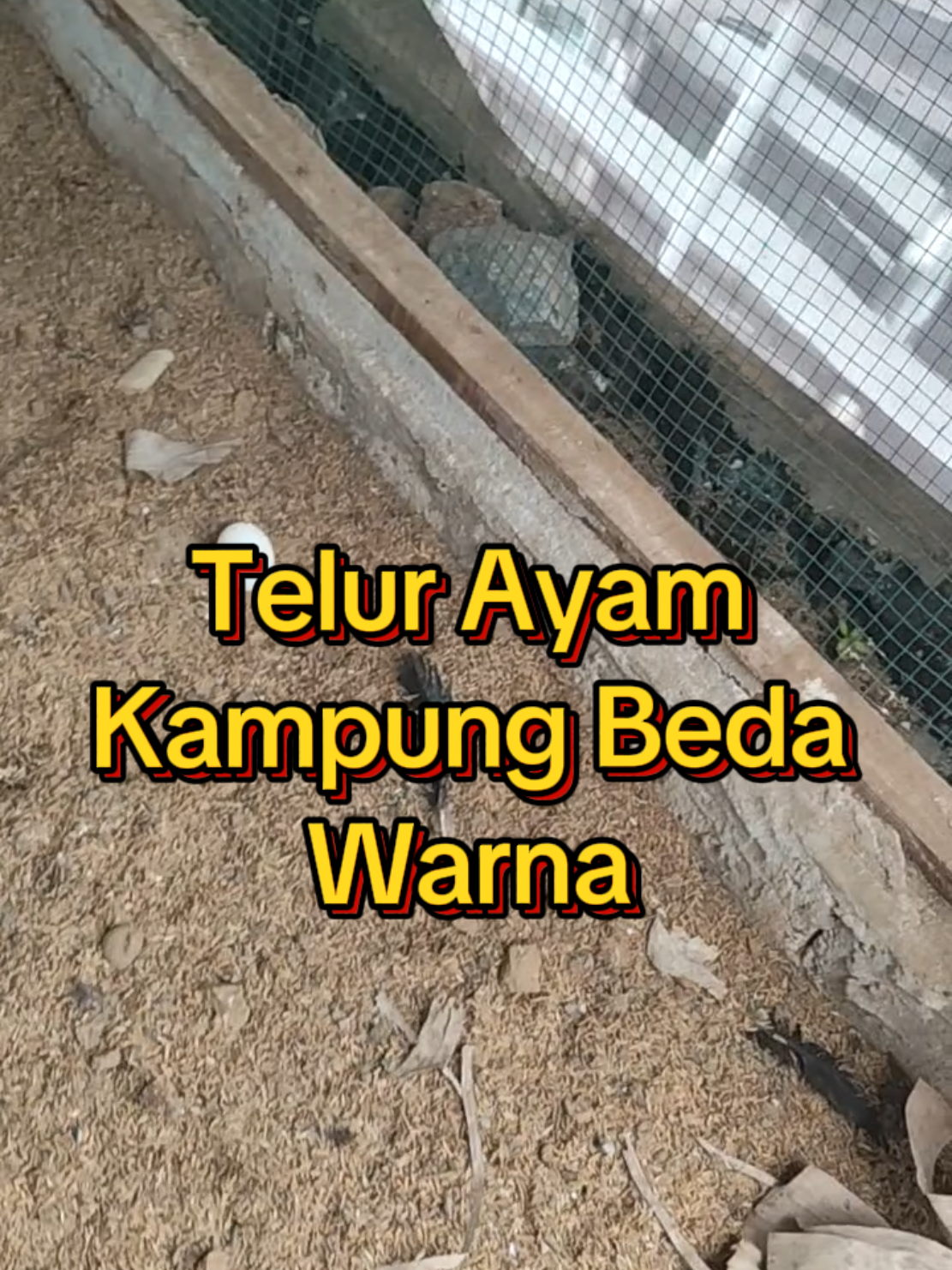@Prasetya