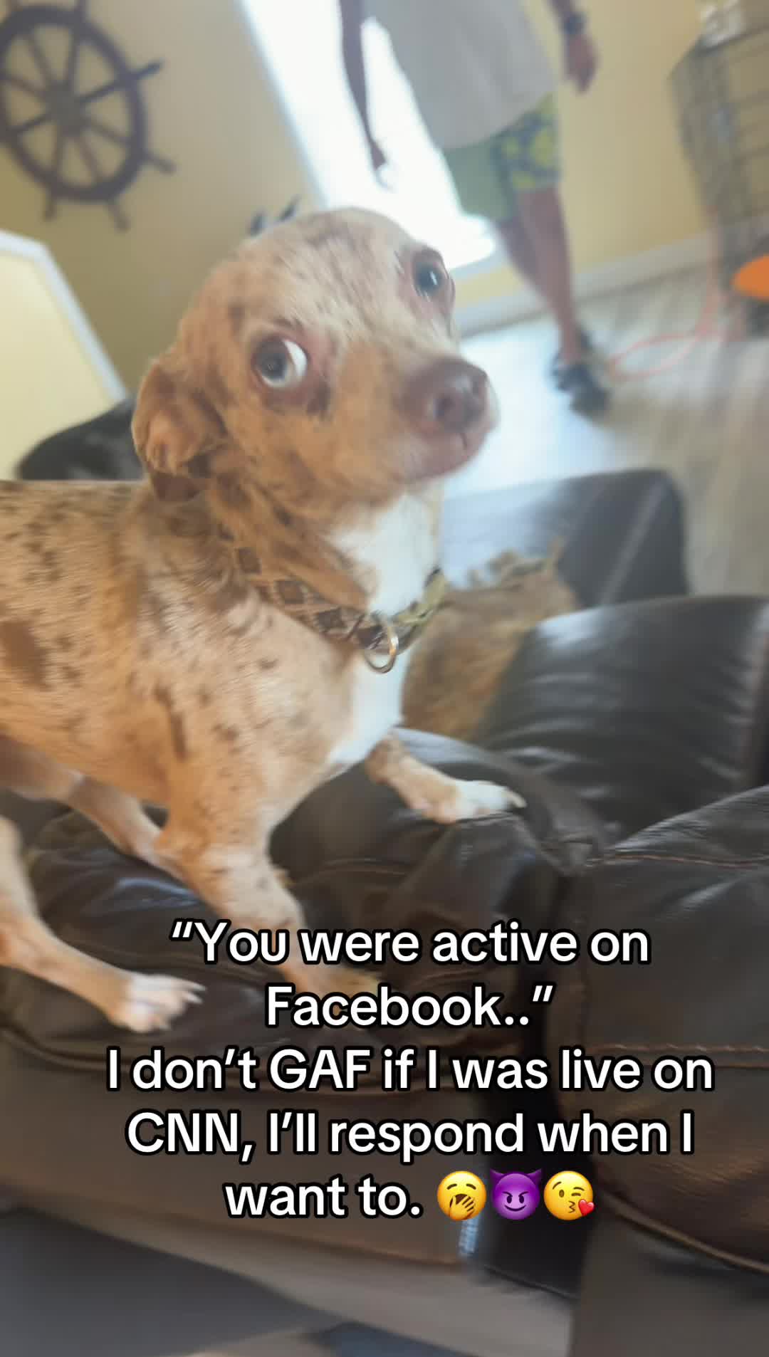 @ScoobyBradford