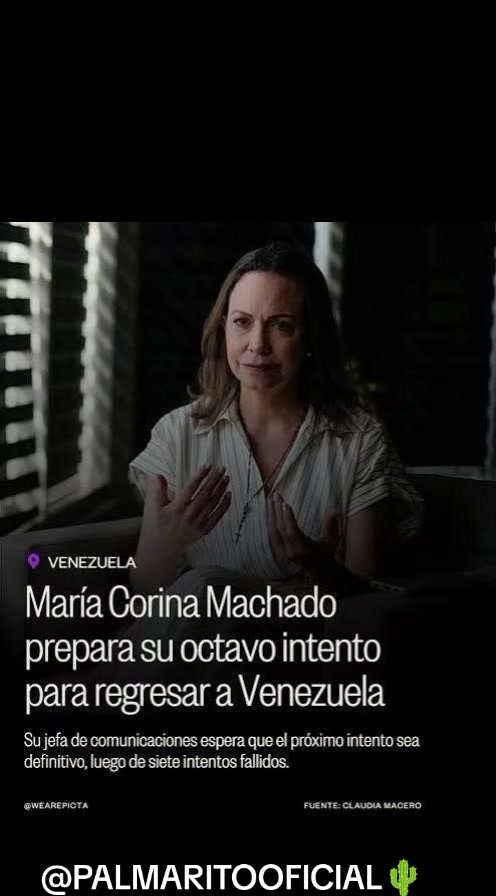 @PALMARITOOFICIAL 🌵