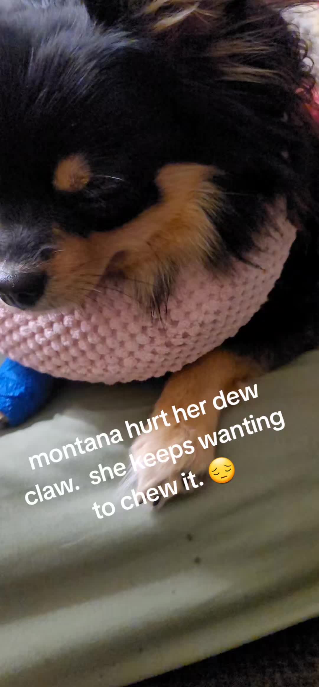 @theallnew