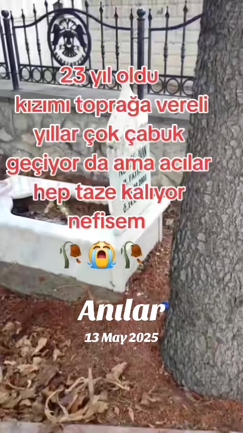 @kimsesiz216