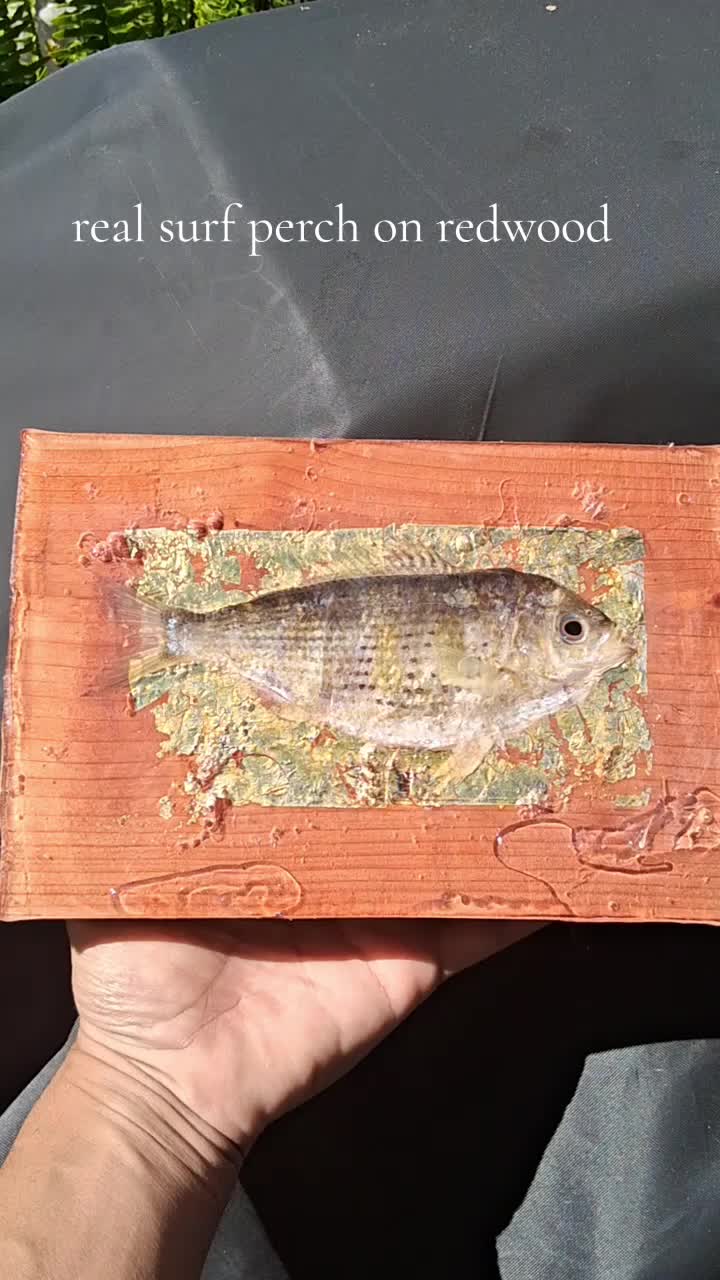 @Fish Skin Lures
