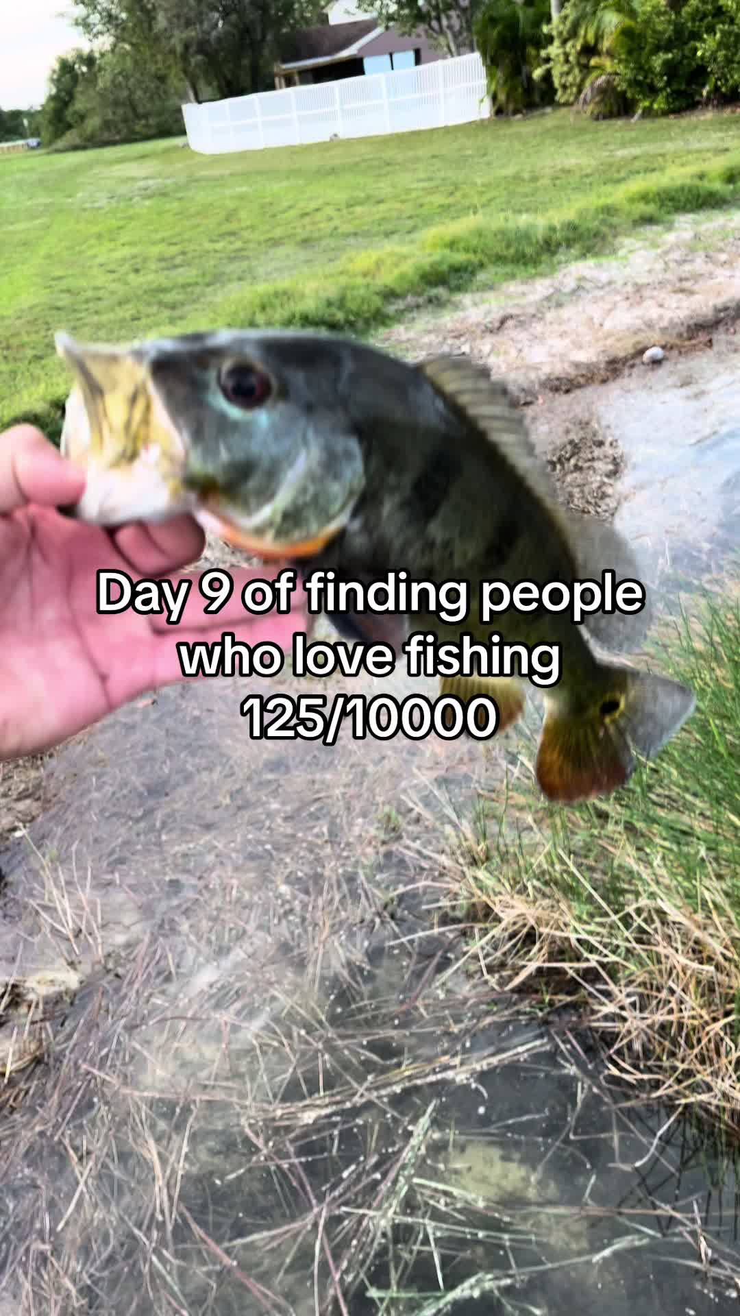 @DC.Fishin