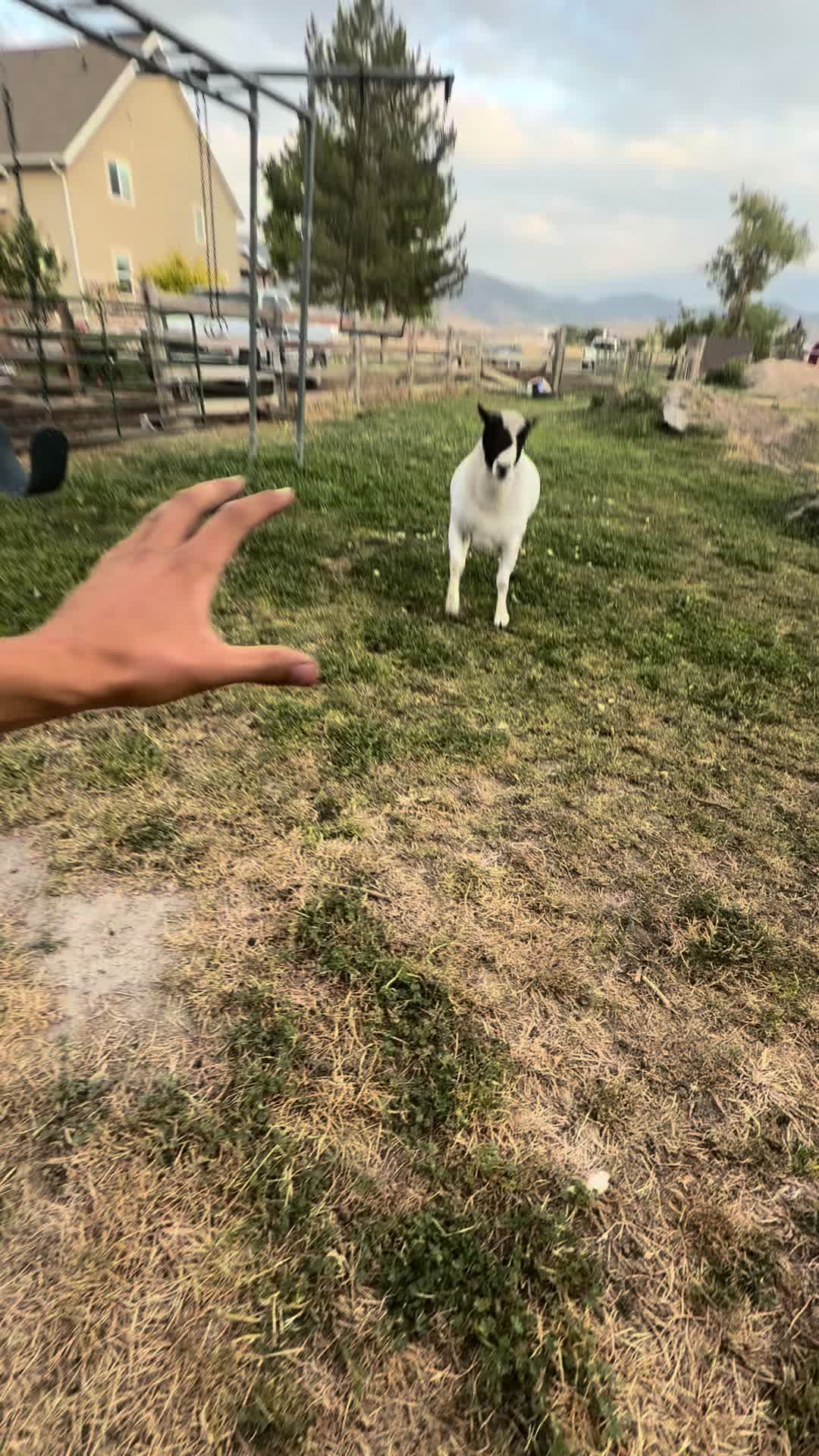 @happi acres