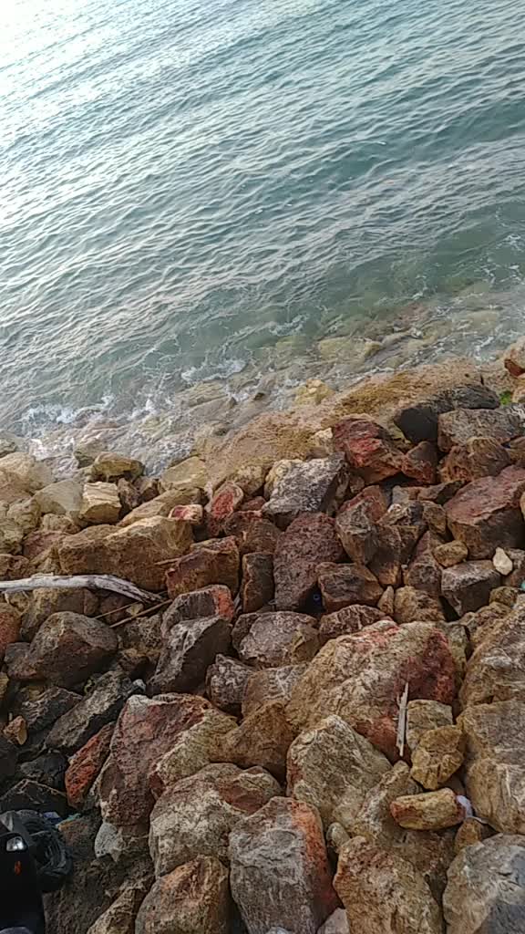 @أبوأسد