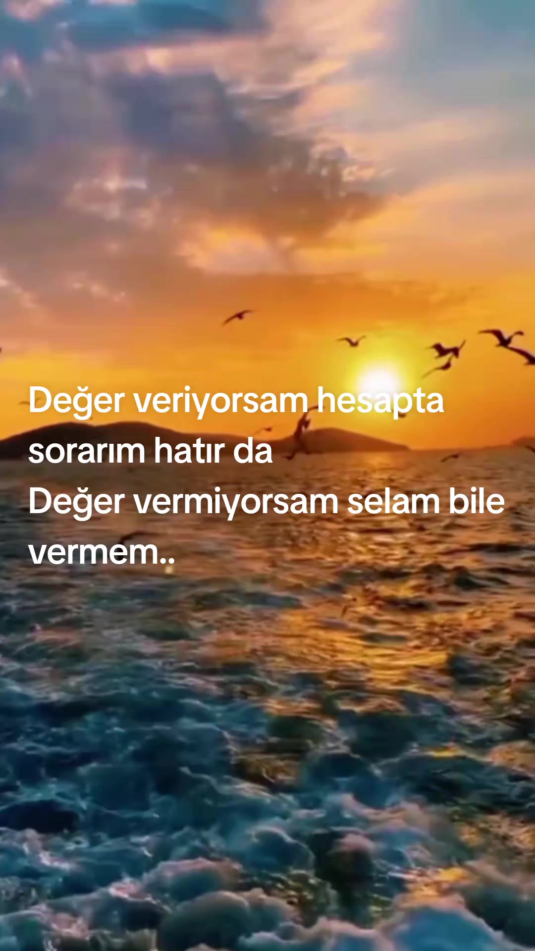 @MEHMET ALİ 🇹🇷