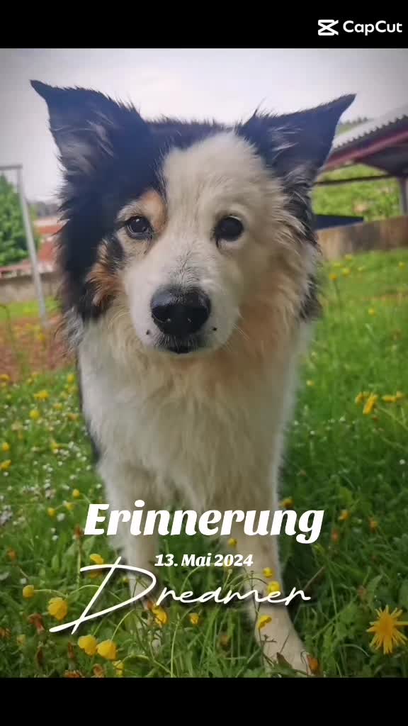 @Zahnfee