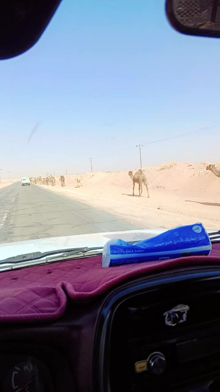 @GuJJaR