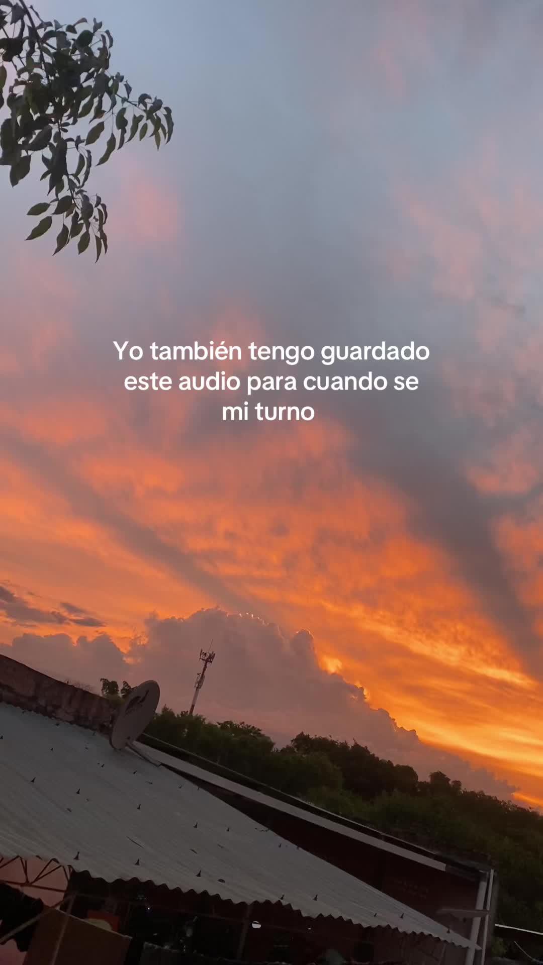 @luji