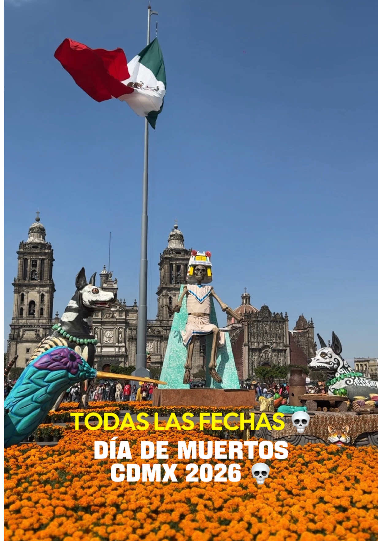 @Edwin Rosales 🇲🇽