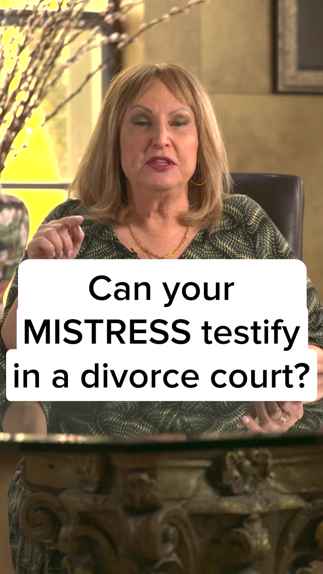 @Divorce Lawyer in Florida ⚖️🏝