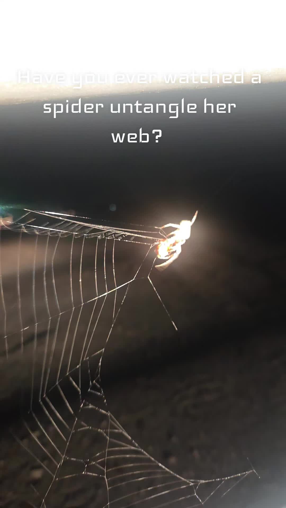 @Juju