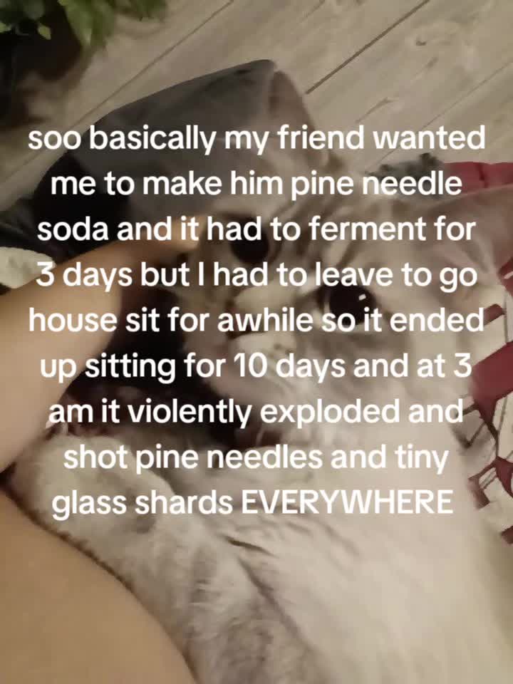 @hailyy