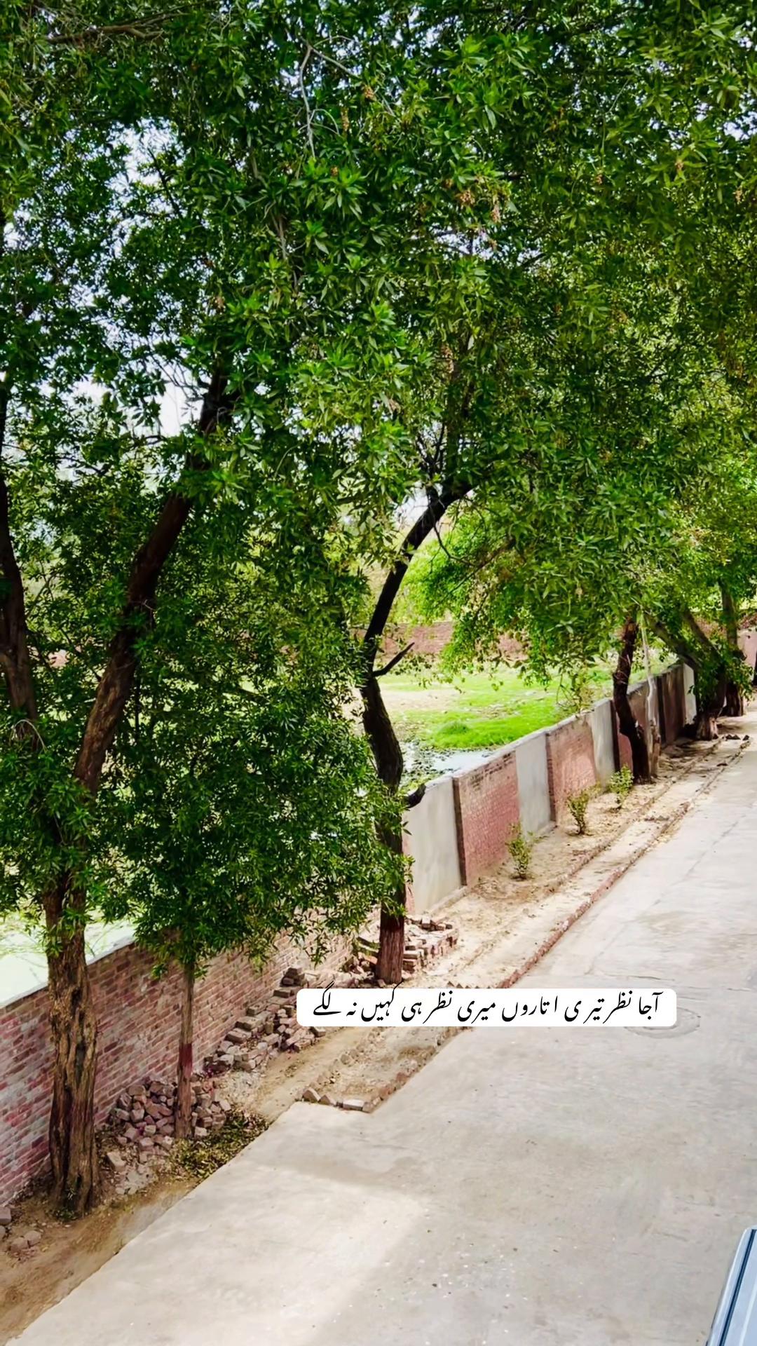 @WARDA SHOAIB