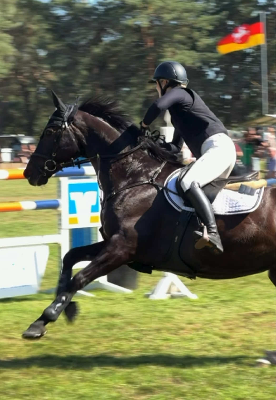 @Laura | German Horseracing