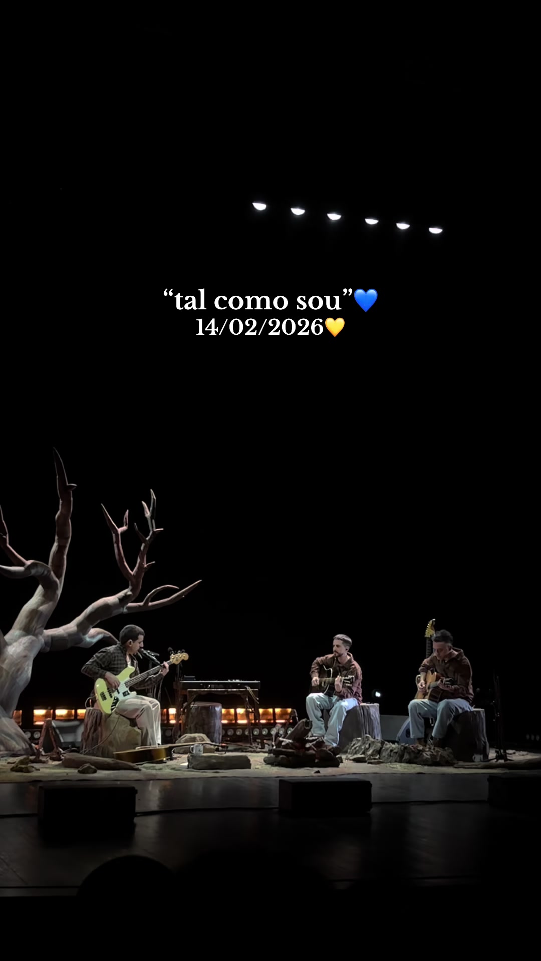 @galeriafd