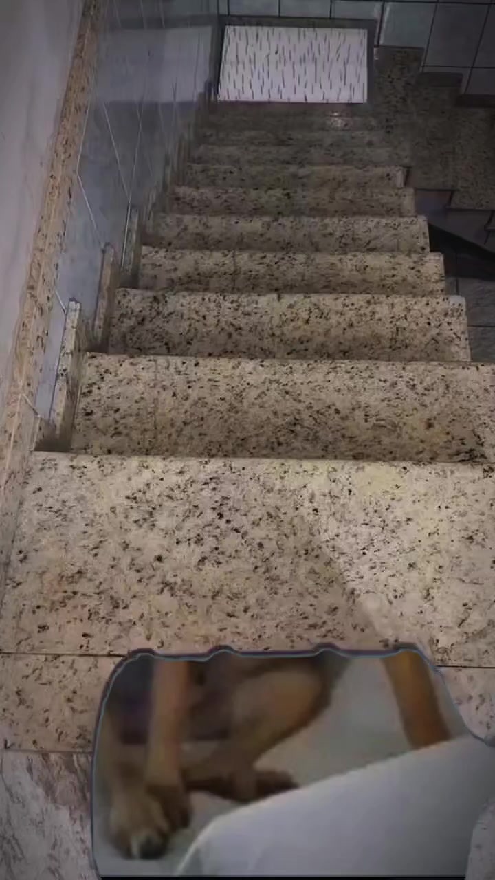 @SusyDog