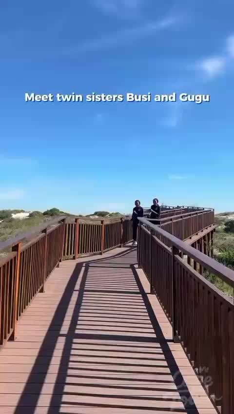 @Twin Venture