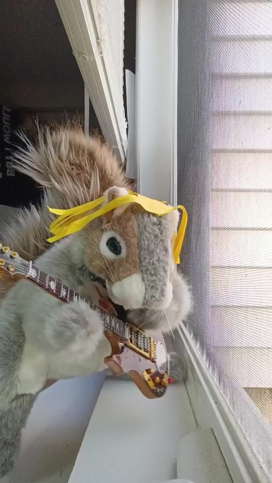 @Charles The Squirrel