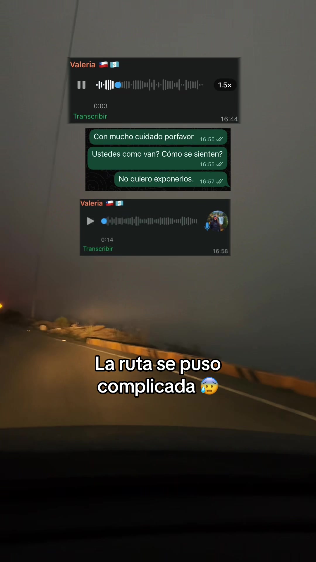 @Patricio Ramírez