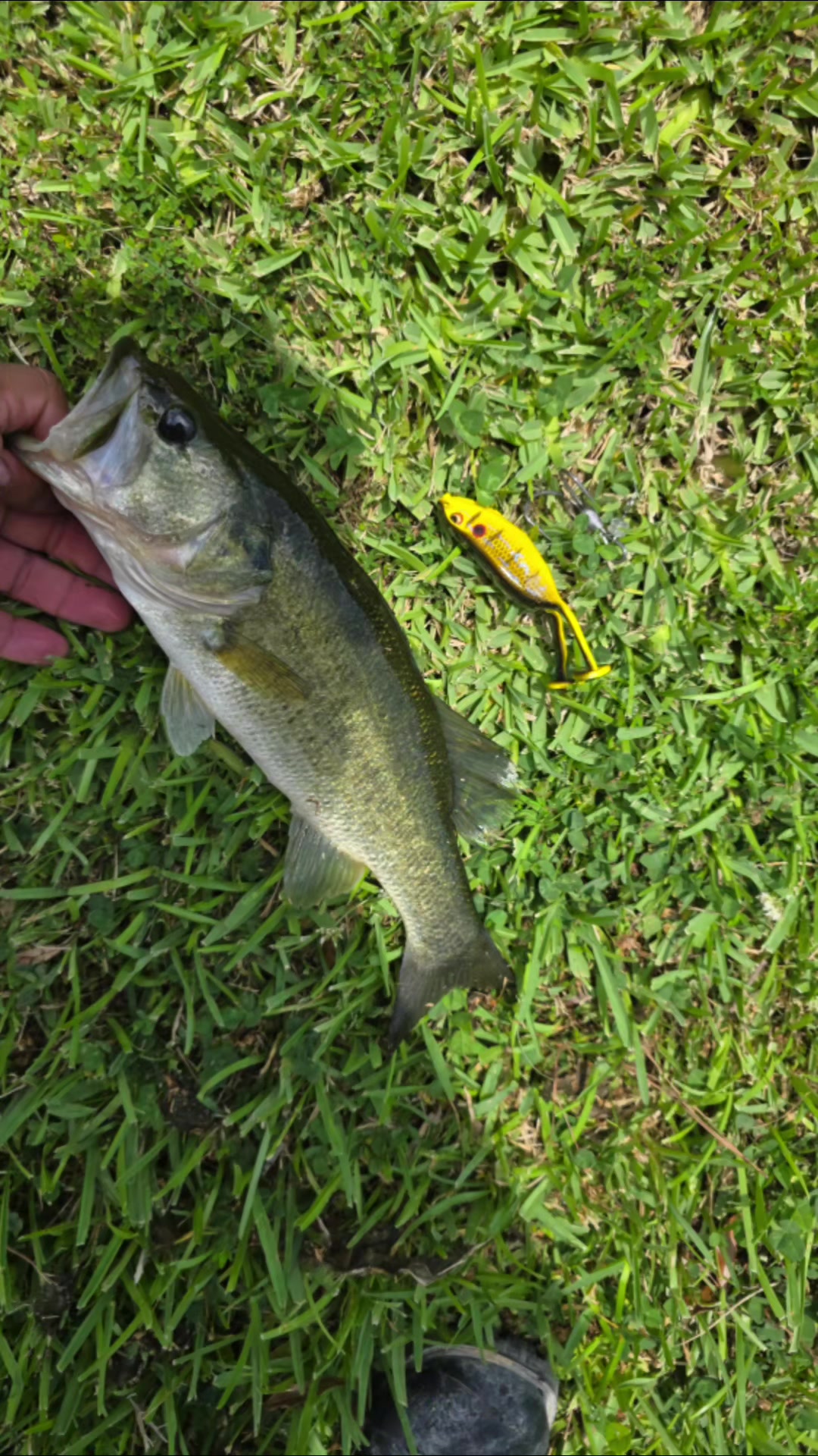@FishingwithJairo