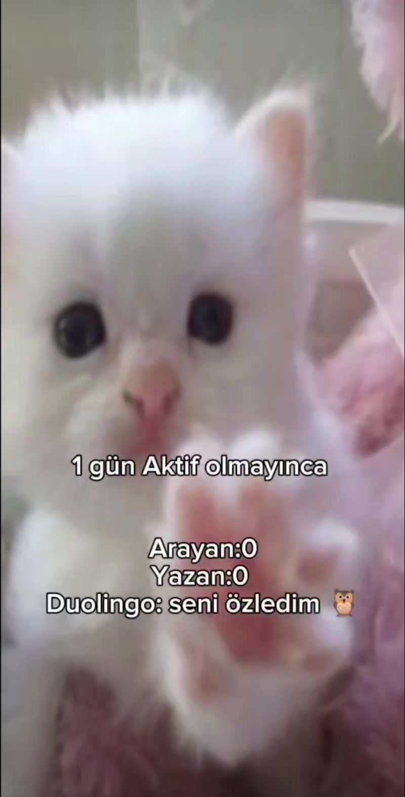 @Okkotsu-Yuta