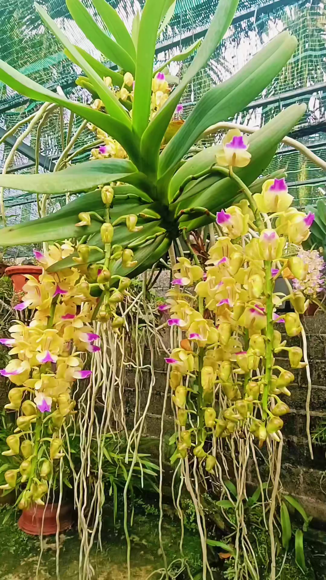 @Hữu.Nguy&ecirc;n 57
