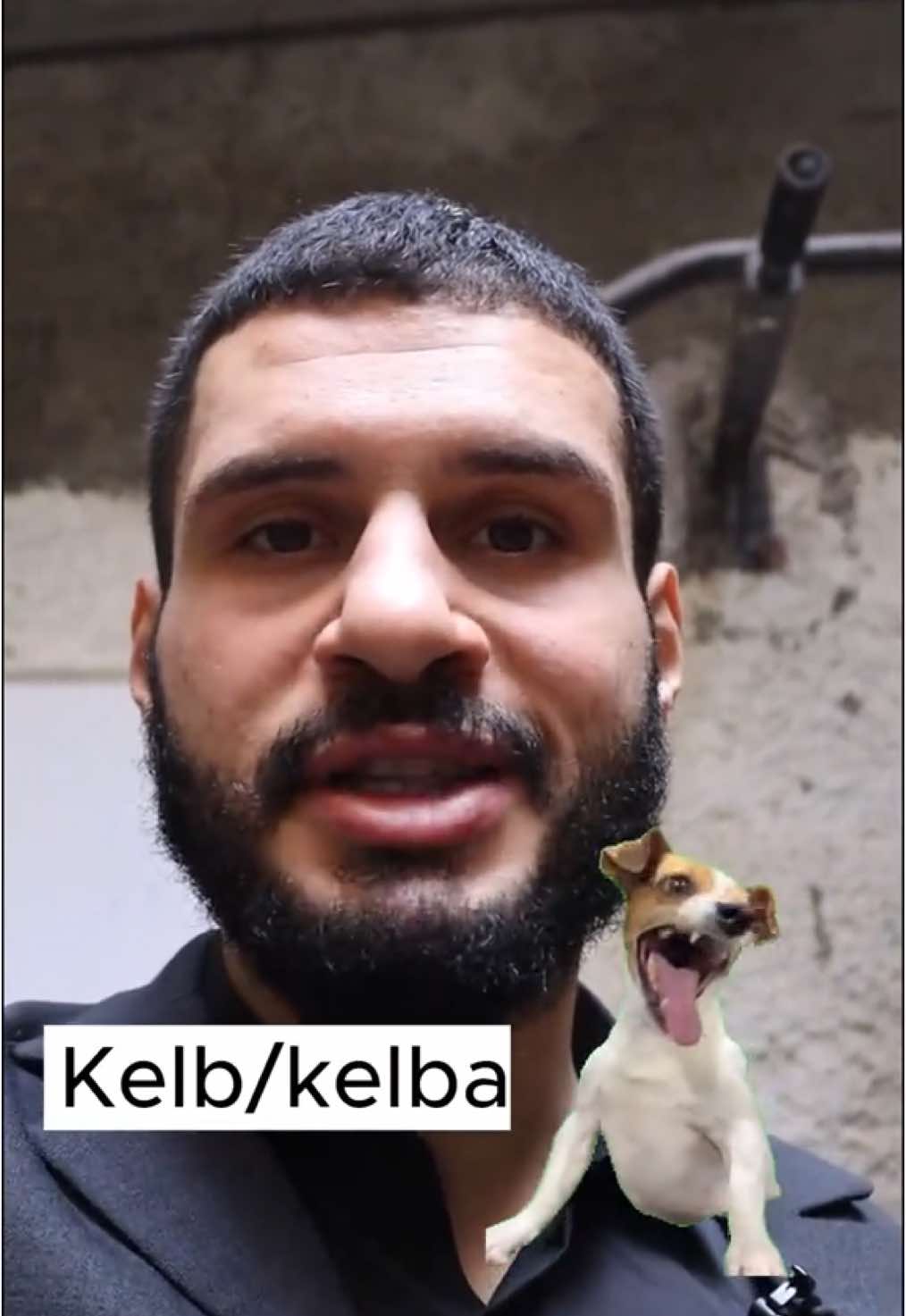 @LearnAlgerianDarja