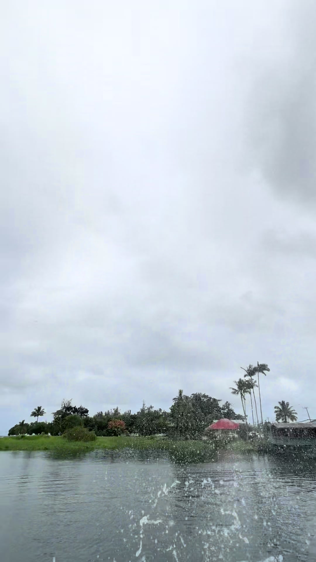 @Hilo bombing squad☔️