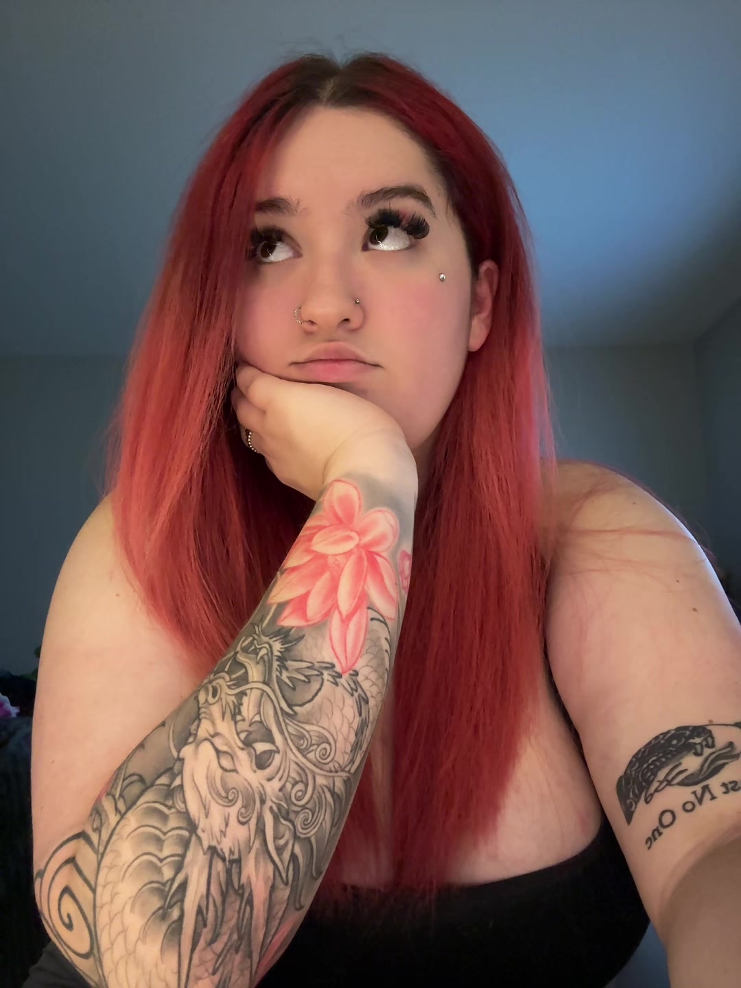 @lolz