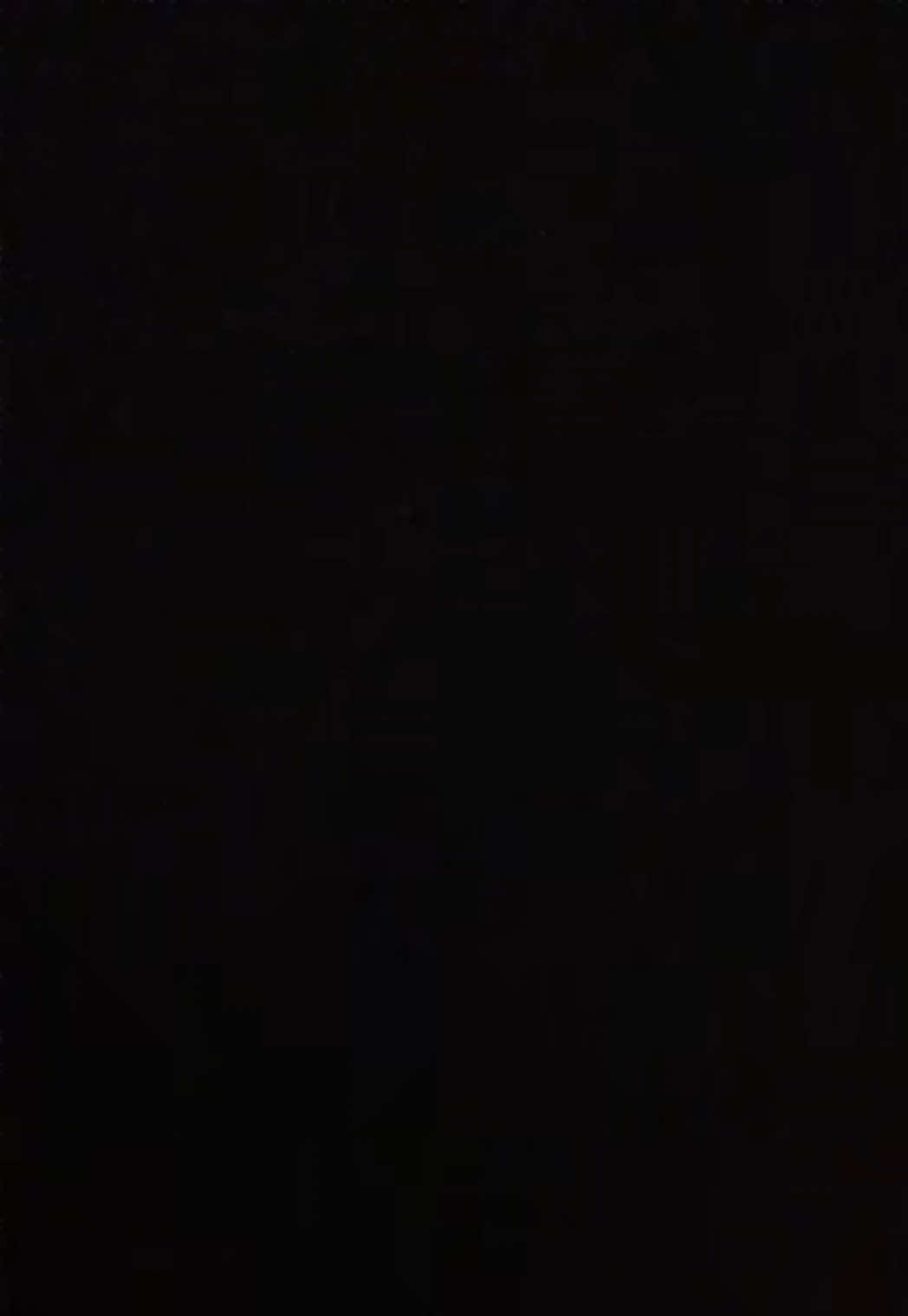 @baileyirl_