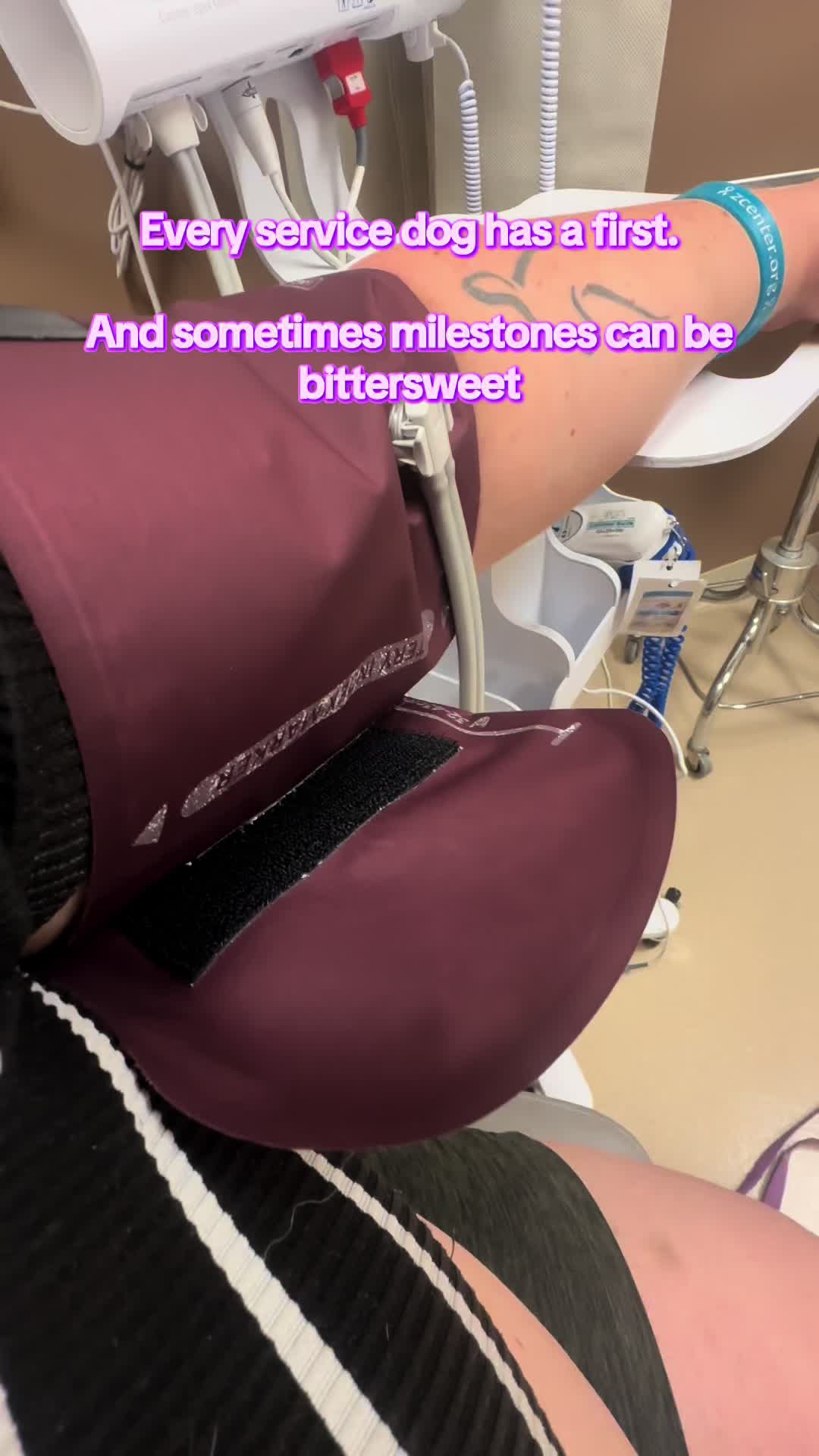 @ladyvetandherpack