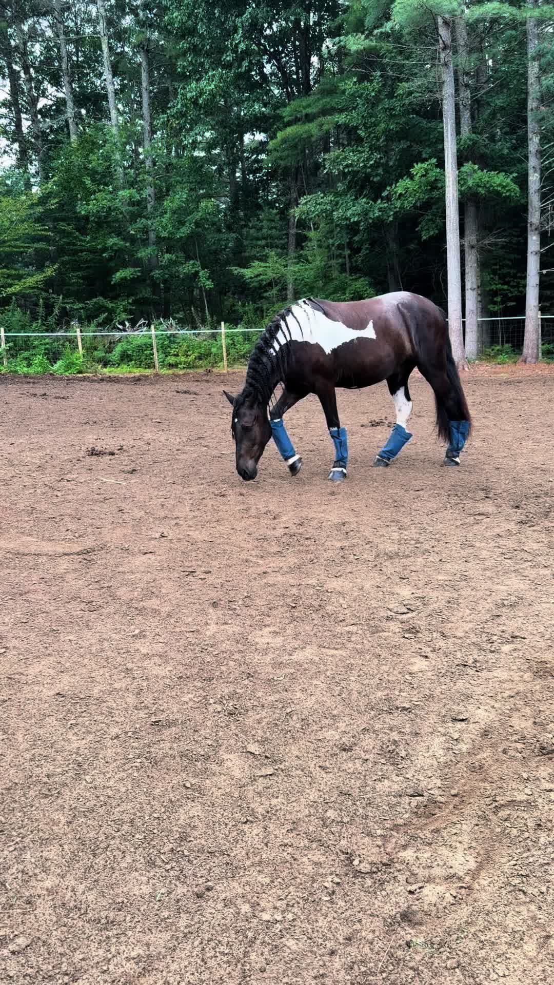 @Unshackled Hearts Ranch