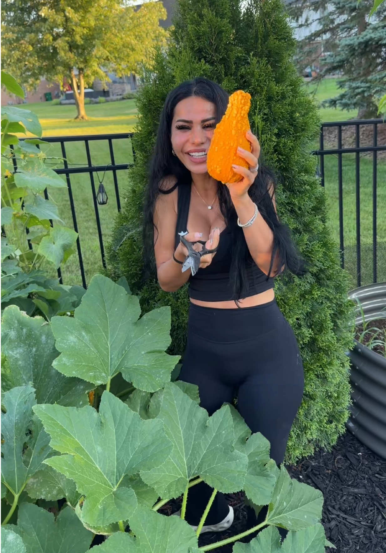 @Deena Batayeh