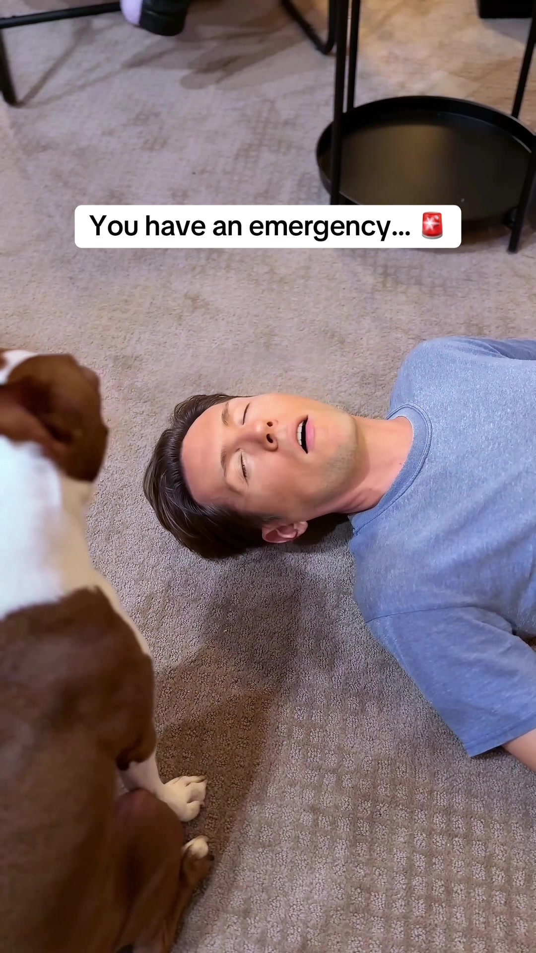 @WhenAshMetBowser