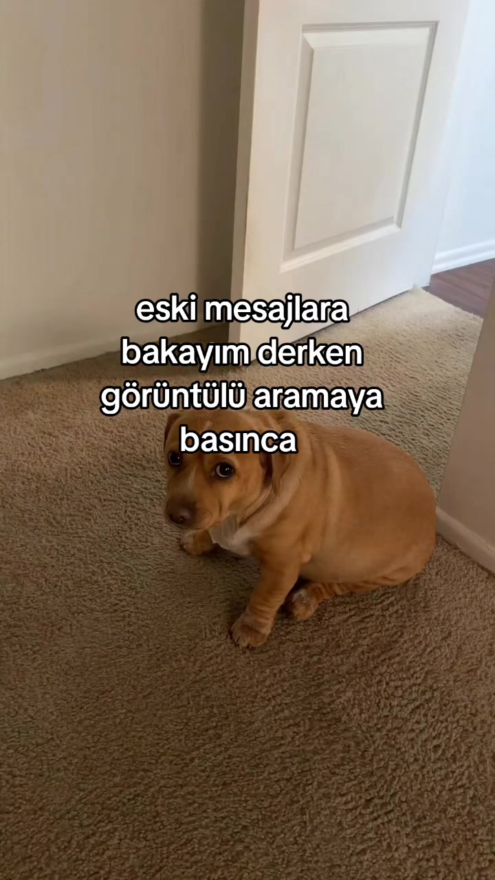 @rolland