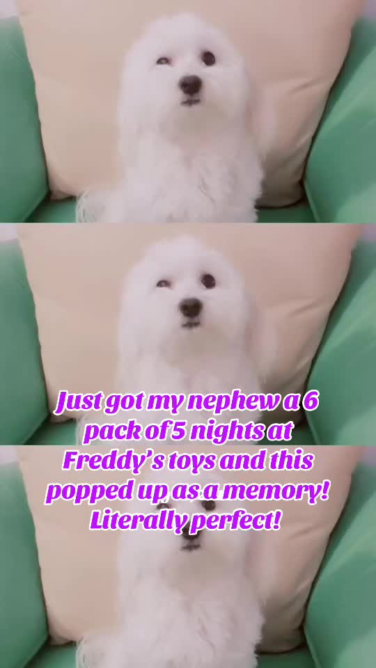 @Booboo