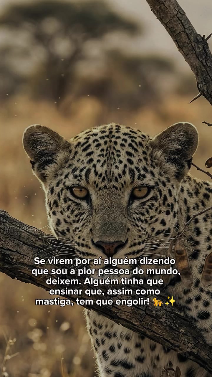 @𝙁𝙚𝙡𝙞𝙣𝙖.𝙈𝙚𝙣𝙩𝙚96🐆❤️