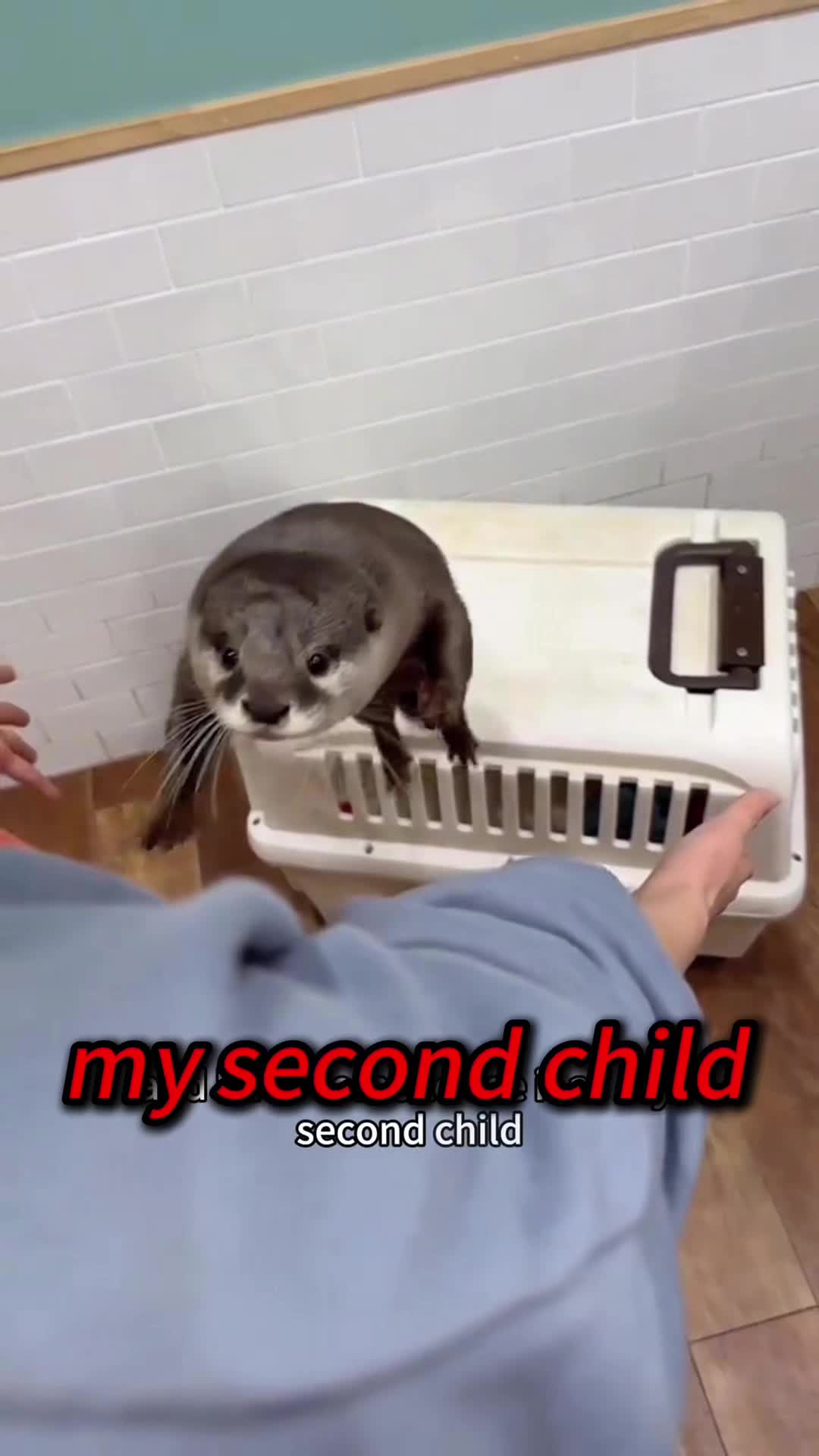 @Kiki_animals22