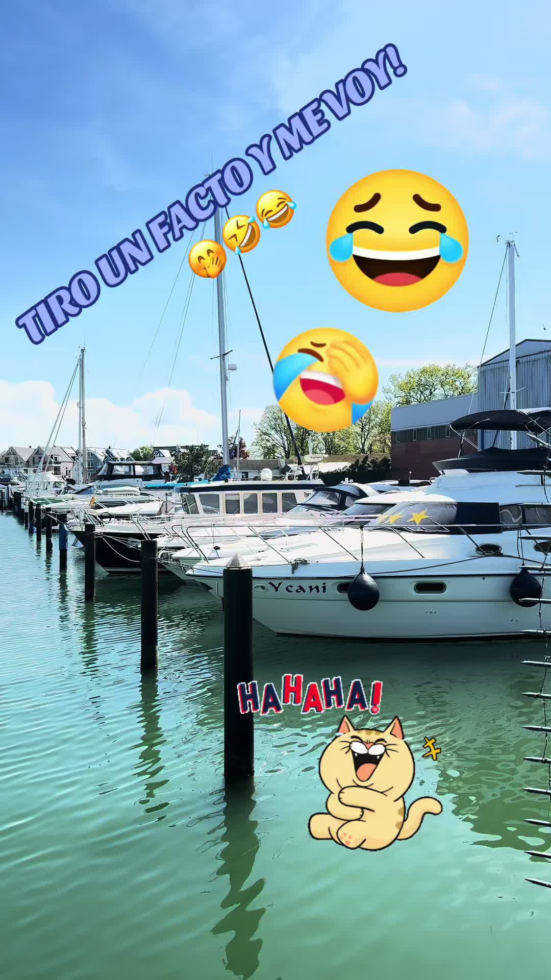 @Carina 💕🥰💕