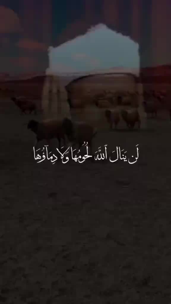 @احمد الحلاوي الحلاوي